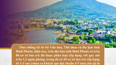 Binh Phuoc verfügt über mehr als 80 Beherbergungsbetriebe.