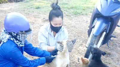 ダクノン、狂犬病ワクチン接種率を向上
