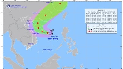 Áp thấp nhiệt đới đã mạnh lên thành bão số 1, cảnh báo mưa lớn ở miền Trung