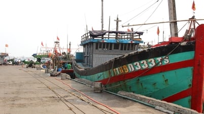 Grasp the development of strong winds at sea to proactively prevent and avoid them.