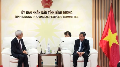 Lãnh đạo tỉnh tiếp và làm việc với Chủ tịch Tập đoàn MiTAC