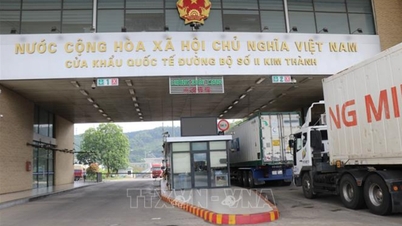 Tạo điều kiện thuận lợi để hàng nông sản thông quan qua cửa khẩu Lào Cai