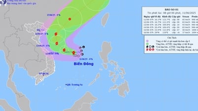 La depresión tropical se ha fortalecido y se ha convertido en tormenta.