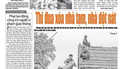 6月11日のハイズオン新聞に何が載るか？