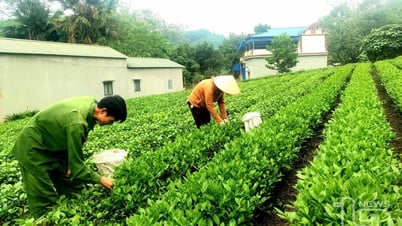 Đồng Hỷ: Các làng nghề thu hút trên 8.600 lao động nông thôn