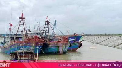 Chủ động ứng phó với bão số 1 và nguy cơ mưa lũ
