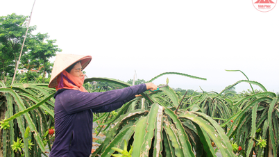AgriBank Yen Lac ផ្តល់ទុនយ៉ាងសកម្មសម្រាប់ការអភិវឌ្ឍន៍កសិកម្ម និងជនបទ
