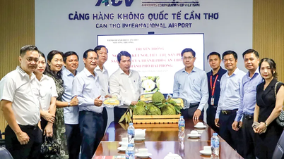Tăng cường liên kết chuỗi gắn với minh bạch chuỗi nhằm phát triển ngành hàng sầu riêng bền vững