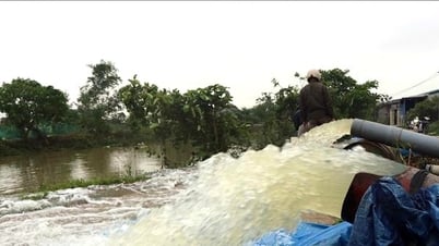 Các địa phương chủ động bơm tiêu úng diện tích lúa bị ngập