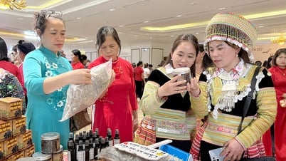 Yen Bai : retracer l'origine des produits pour accroître la compétitivité