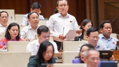 Nâng mức xử phạt hành chính cần cân nhắc thận trọng, kỹ lưỡng