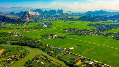 Tạm dừng tiếp nhận và giải quyết hồ sơ chuyển mục đích sử dụng đất sang đất ở đối với hộ gia đình, cá nhân từ ngày 10/6/2025 cho đến khi có chỉ đạo mới