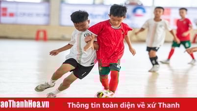 Loạt penalty nghẹt thở đưa Thạch Thành vào bán kết, chia tay ĐKVĐ U8 TP Thanh Hoá
