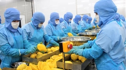 アンザン省の輸出は「波を超える」