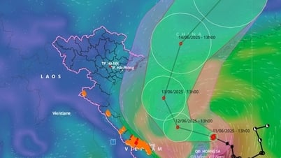 Nghệ An chủ động ứng phó với bão số 1