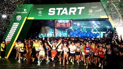 Cerca de 10.000 personas asistieron al Maratón Internacional "Vietcombank Mekong Delta" Hau Giang 2025