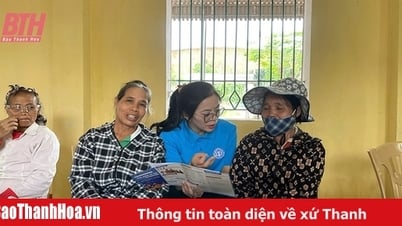 Spreading social security policies in "May - Month of implementing universal social insurance"