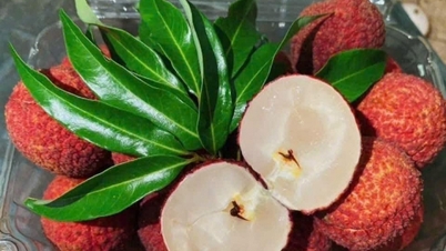 Vải thiều Trung Quốc đổ bộ chợ Việt, giá 700.000 đồng/kg
