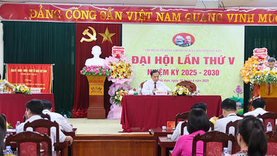Đại hội Chi bộ Chi nhánh NHCSXH tỉnh Bắc Kạn lần thứ V, nhiệm kỳ 2025 – 2030