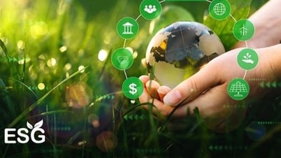 Lý do nào khiến doanh nghiệp vẫn ngại chuyển đổi xanh?