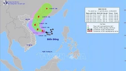 Tập trung ứng phó với bão số 1 và mưa lũ