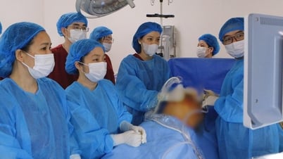 태아의 흉막액을 배출하기 위해 어머니의 복부를 통해 튜브를 삽입합니다.