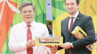 โอกาสดีๆสำหรับคนเวียดนามที่จะพัฒนาอาชีพในประเทศเยอรมนี