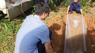 Phu Binh: Destroyed over 800kg of chicken meat and organs of unknown origin