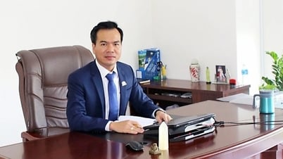 Trùm nhà ở xã hội Hoàng Quân bất ngờ có tổng giám đốc mới