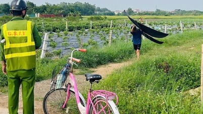 Cảnh báo trẻ em không thả diều quanh khu vực sân bay