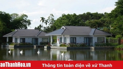 Để tôi nói cho bạn biết sự thật về LAMORI