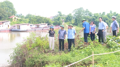 Đẩy nhanh tiến độ khắc phục sự cố, bảo đảm an toàn hệ thống đê trong mùa mưa bão