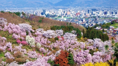 Kế hoạch du lịch Fukushima 3 ngày 2 đêm: Địa điểm vui chơi, ẩm thực và lưu ý