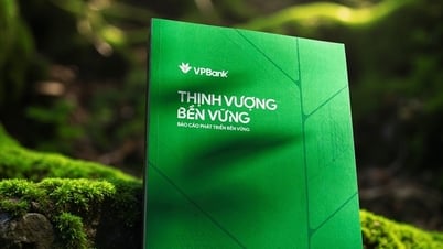 ធនាគារ VPBank ប្រកាសរបាយការណ៍អភិវឌ្ឍន៍ប្រកបដោយចីរភាព