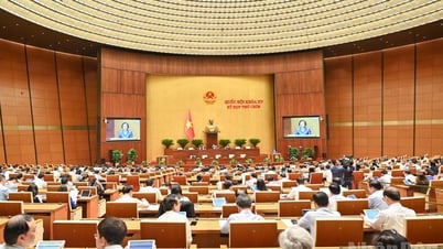 Ngày 12/6, Quốc hội biểu quyết thông qua việc sắp xếp đơn vị hành chính cấp tỉnh