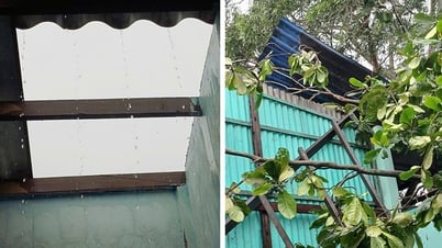 ផ្ទះ​៦​ខ្នង និង​កន្លែង​ផលិត​បាន​បាក់​ដំបូល​ដោយសារ​ខ្យល់ព្យុះ​។