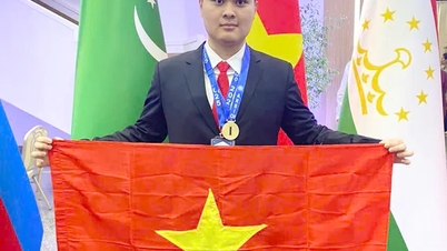 Nam sinh duy nhất đạt điểm tuyệt đối, giành Huy chương Vàng Olympic Hóa học quốc tế