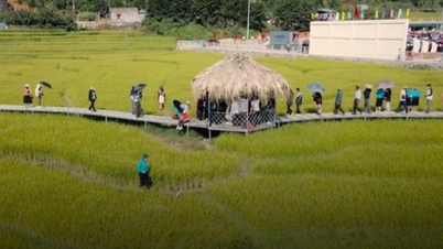 Gắn du lịch cộng đồng với xây dựng nông thôn mới