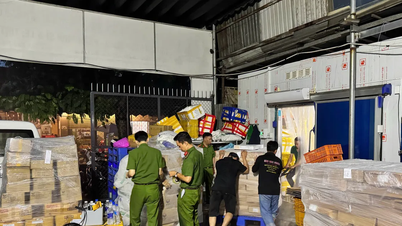 Nearly 70 tons of animal organs and meat of unknown origin discovered in Ho Chi Minh City
