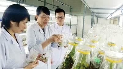 Key human resources promote science and technology development
