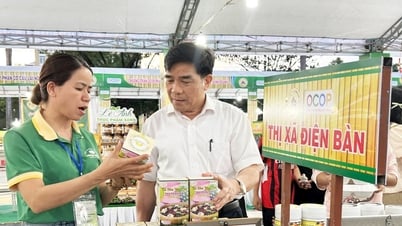 Wie erfolgt die Nachkontrolle von OCOP-Produkten in Quang Nam?