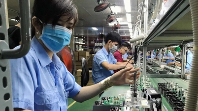 Which technology shapes the future of Vietnam's semiconductor industry?