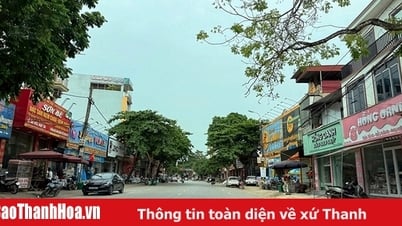 ថាច់ ថាញ់ អភិវឌ្ឍឧស្សាហកម្មផ្សារភ្ជាប់ជាមួយនឹងការអភិវឌ្ឍន៍ទីក្រុង