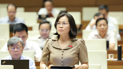Đại biểu Quốc hội: Cân nhắc cho phép TPHCM mới có HĐND phường