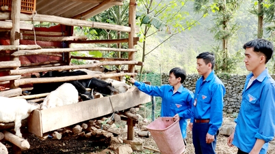 Toàn tỉnh triển khai hơn 2.700 mô hình “Dân vận khéo”