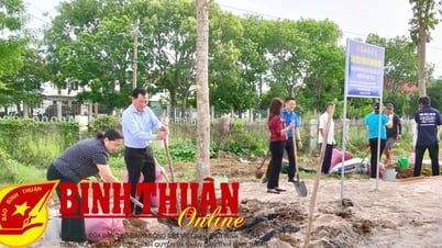 យុទ្ធនាការដាំដើមឈើលើផ្លូវជាតិលេខ១A