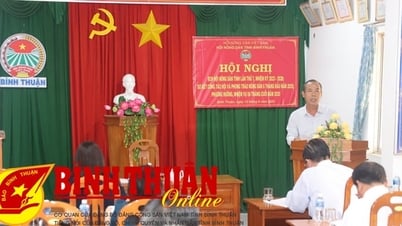 Summary of the Association's work and farmers' movement in the first 6 months of the year