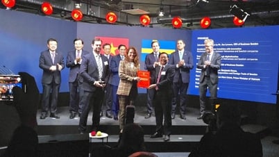 Bình Định trao chứng nhận đầu tư dự án 1 tỷ USD cho doanh nghiệp Thuỷ Điển