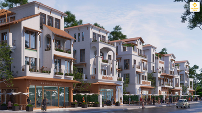 តើខ្ញុំគួរទិញ Blanca City Sun Vung Tau នៅពេលនេះទេ? ព័ត៌មានលម្អិតសម្រាប់អ្នកវិនិយោគ