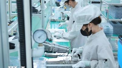 بنود جديدة في مشروع قانون صناعة التكنولوجيا الرقمية على وشك الإقرار